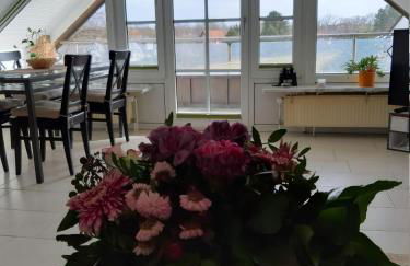 FeWo Lüneburger Heide - Hans-Hermann - Foto 36