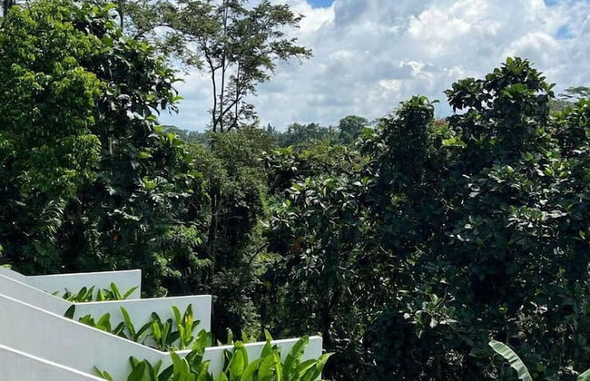 Loyo Villas - Foto 18