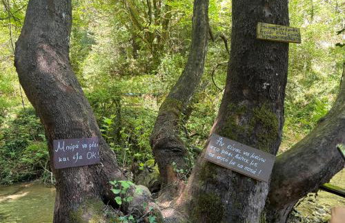 Gravia's Villa - Foto 62