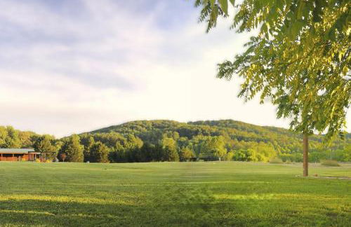 Lil Yellowstone - Foto 59