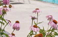 Thassos OLIVIA RESORT - Foto 56