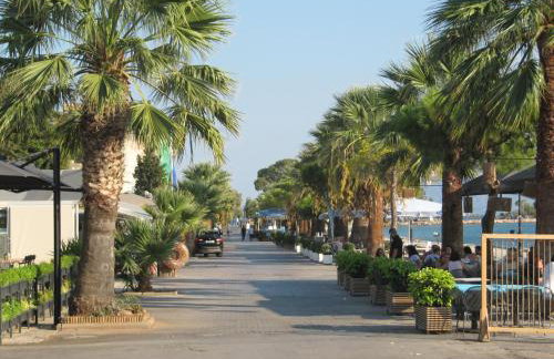 jasmine apartments - Photo 47