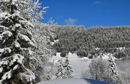 Chalet Orlando - Foto 17