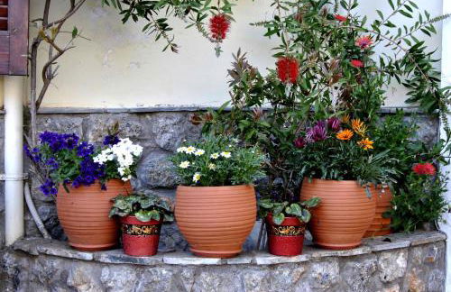 Filoxenia Studios - Foto 71