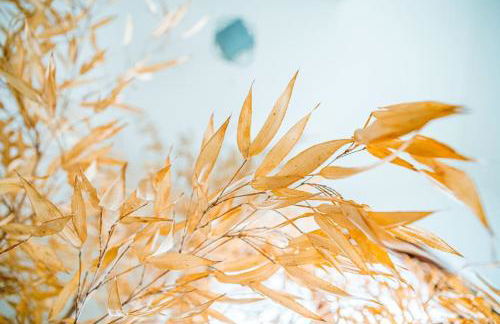 Casa da Ernesta - Foto 30