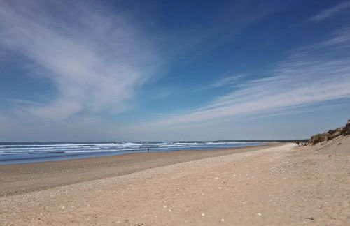 PARFUM d'OCEAN - Foto 17