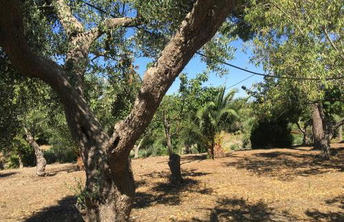 Riserva Ancelle - Foto 40