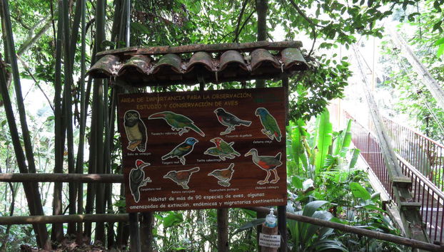 Botanical Garden of Quindío Visit - Foto 3