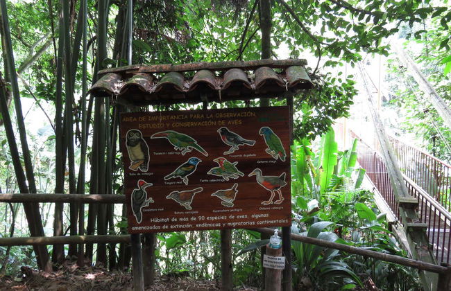 Excursão ao Jardim Botânico do Quindío - Photo 5