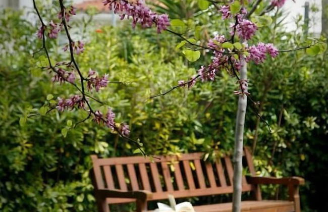 SG Costa BCN Apartments - Photo 26