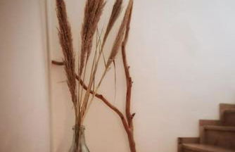 El mirador de las islas peniscola 12598 - Foto 13