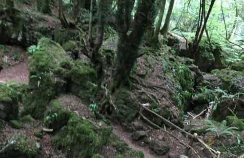 Thatch Close Cottages - Foto 53