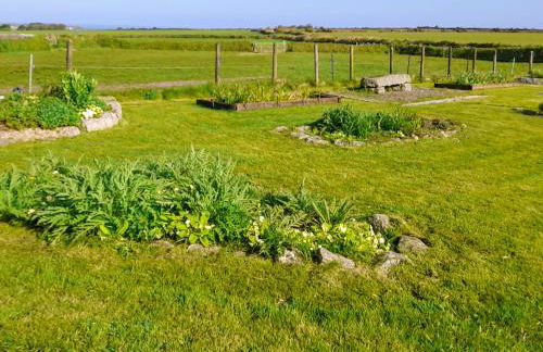 Ash Tree Cottage - Foto 7