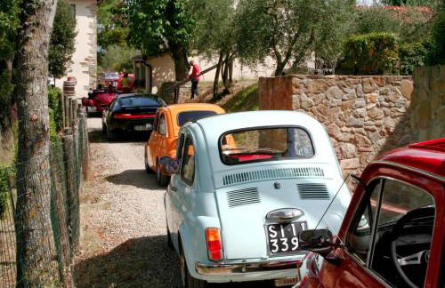 Agriturismo il Pino - Bioagricoltura - Photo 28