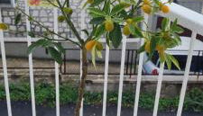 Casa Persefone - Foto 4