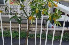 Casa Persefone - Foto 4