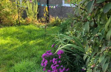 Cosy cottage in Snowdonia hamlet - Foto 29