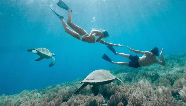 Snorkeling Manta Ray Tour - Foto 3