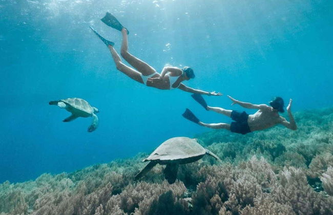 Snorkeling con le mante a Nusa Penida - Foto 3