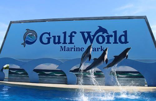 Sea Breeze House- 3 bd 2 ba 5 min walk to beach - Foto 37