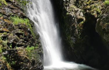 Black Forest Living, Todtnauberg, Feldberg - Foto 22