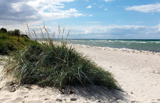 Boutique Bungalow in Insel Poel With Terrace - Photo 63