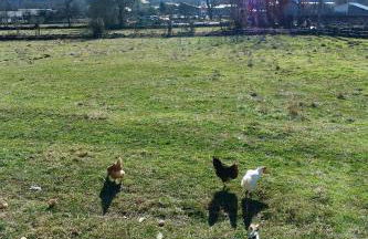 El Parreiro VUT-LE-1607 - Photo 62