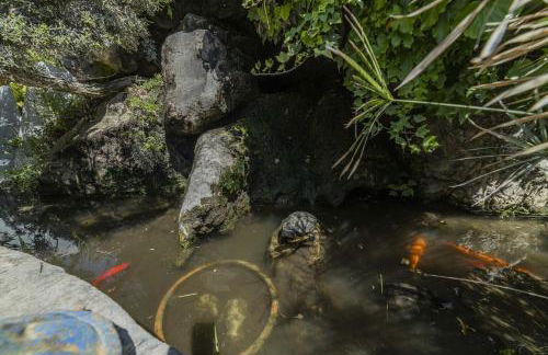 Villa Plomer Serra - Foto 19