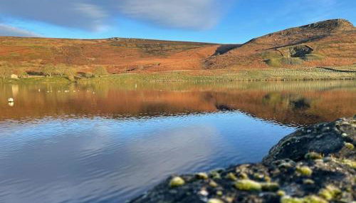 Luxurious one bedroom house - Foto 3