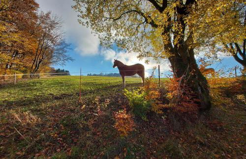 Panoramablick Willingen Schwalefeld - Foto 38