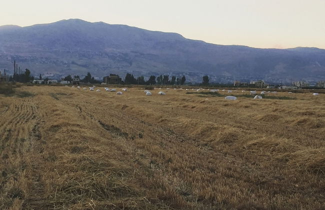 Karim's Sahel - Foto 8