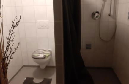 2 Zimmer Appartements in Heroldsatt - Foto 11