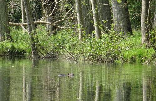 Marais Inn, maison typique avec piscine et jardin arboré, 10 kms Niort - Foto 29