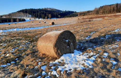 Mi Casa En Paczyno - Foto 53