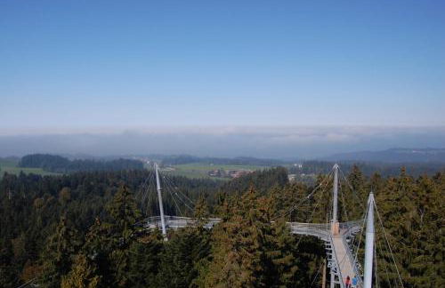 Ferienwohnung Eisele - Photo 19