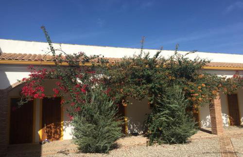 finca las gateras - Foto 36