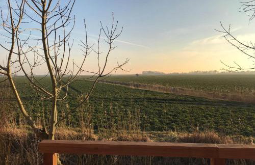 Gartenhaus Frieda - Foto 9