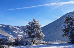 Baumgartnerhof - Foto 29