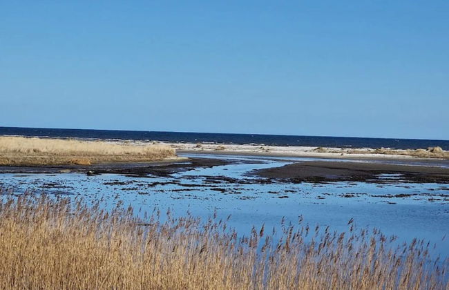 6 Person Holiday Home in Hals - Foto 31