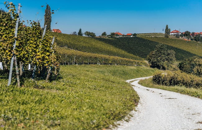 Family Friendly France's Lair - Foto 44