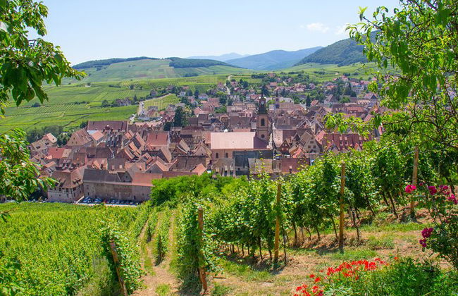 Tour guidato per piccoli gruppi con partenza da Strasburgo - Foto 9