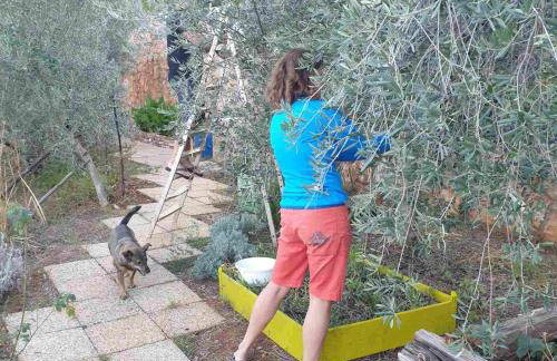 Mary's Garden - Foto 26