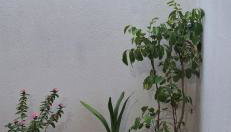 Casa em Parnamirim próximo ao centro - Foto 4