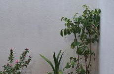 Casa em Parnamirim próximo ao centro - Foto 4