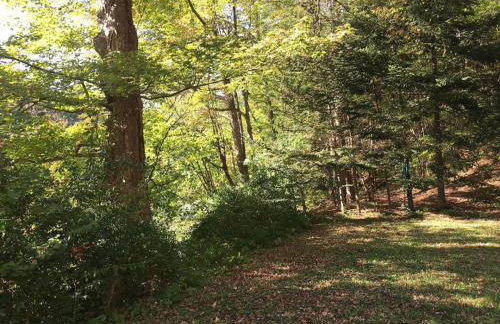 Catskill Cabin Duplex Apartment - Foto 25