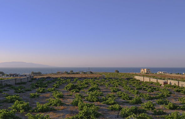 Anemi Vine Villas - Foto 72