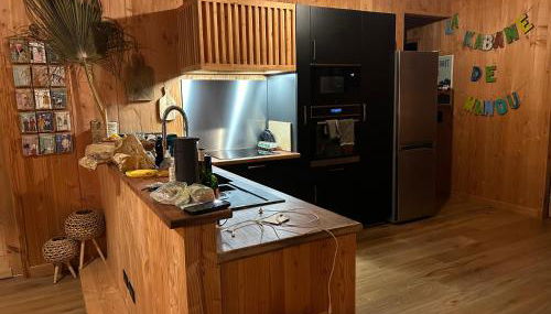 La kabane de Manou, maison de charme Cap Ferret - Photo 2, stove, toaster