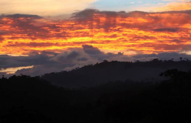 Mindo Eco chalet - Foto 46