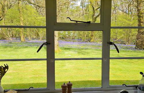 Chasewoods Farm Cottage - Foto 6