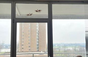 Top Rheinblick Apartment Neuss - Düsseldorf - Foto 5